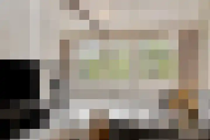Karperlaan 10 Hedel thumbnail 8