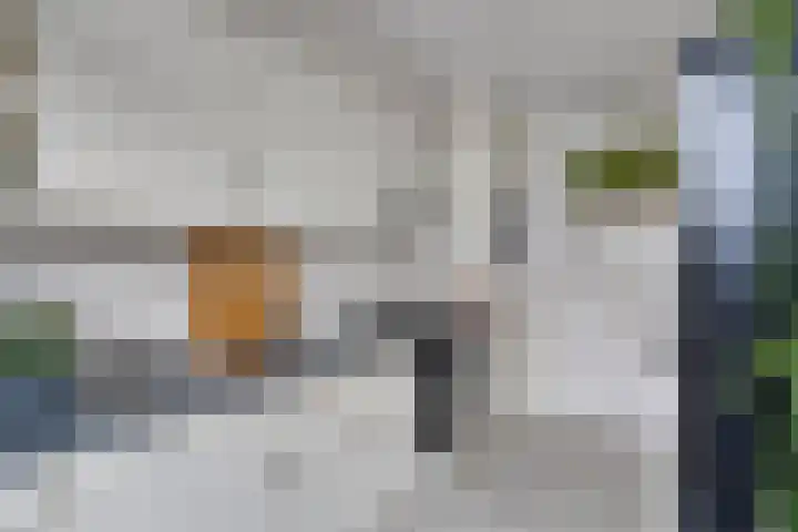 Karperlaan 4 Helmond thumbnail 14