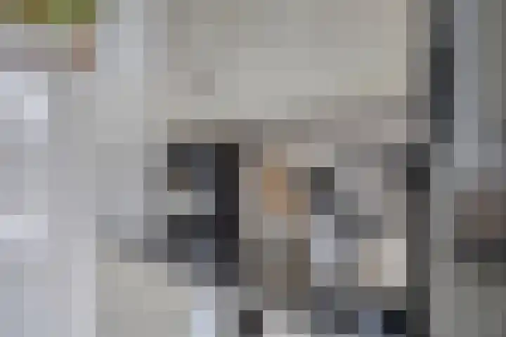 Karperlaan 4 Helmond thumbnail 16
