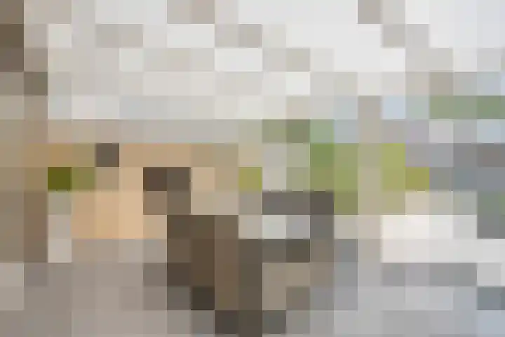 Karperlaan 4 Helmond thumbnail 17