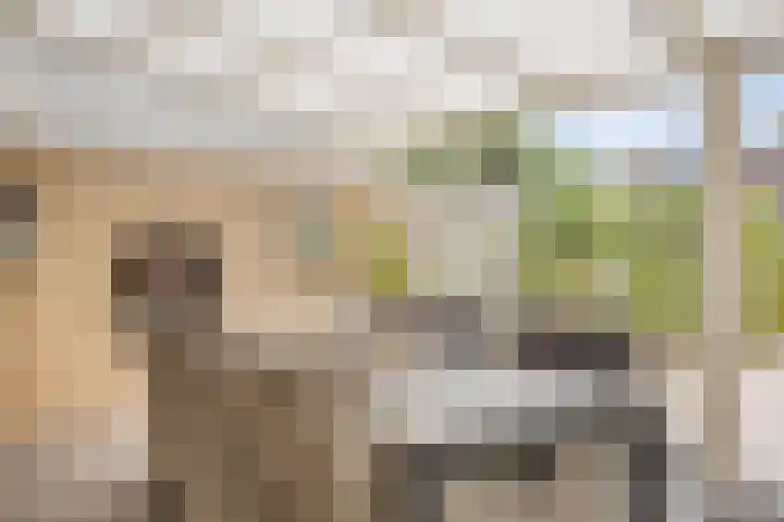 Karperlaan 4 Helmond thumbnail 18