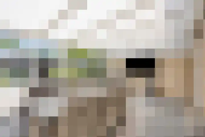 Karperlaan 4 Helmond thumbnail 19