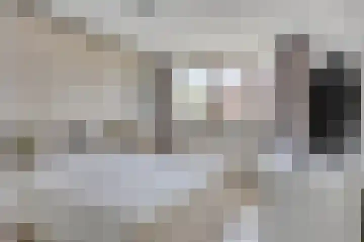 Karperlaan 4 Helmond thumbnail 26