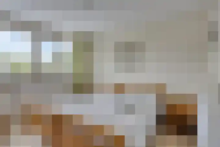 Karperlaan 4 Helmond thumbnail 31