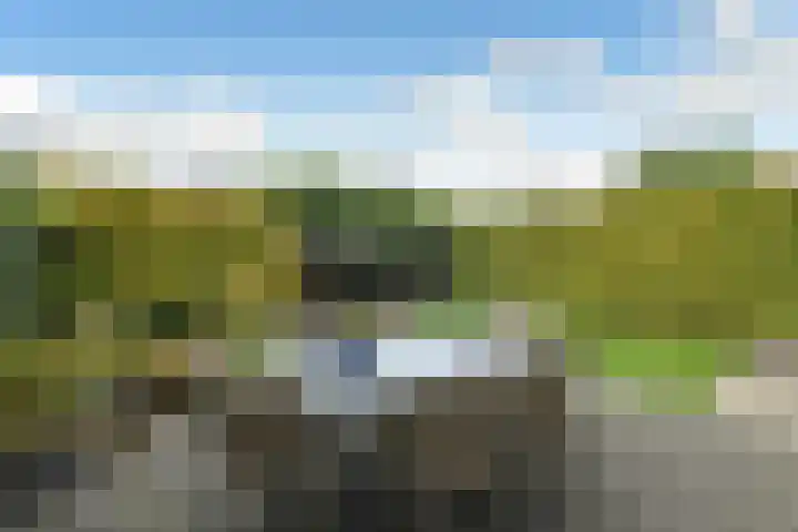 Karperlaan 4 Helmond thumbnail 42