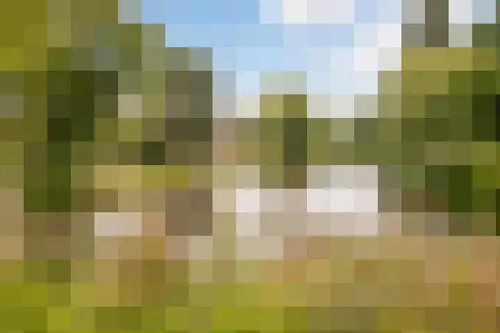Karperstraat 63 Arnhem thumbnail 35