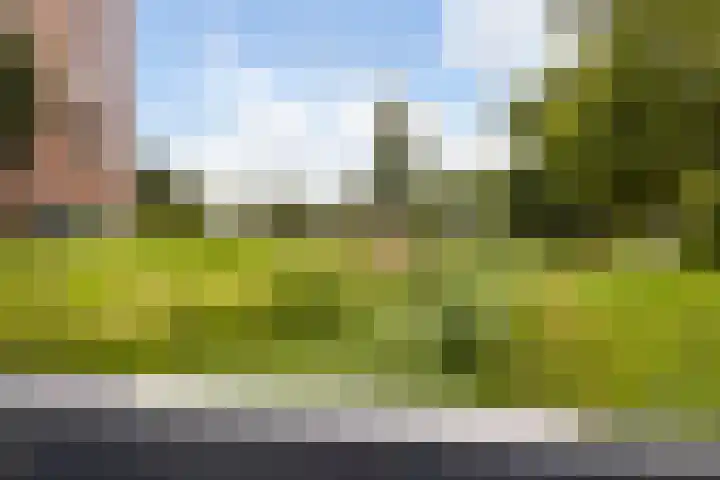 Karperstraat 63 Arnhem thumbnail 36