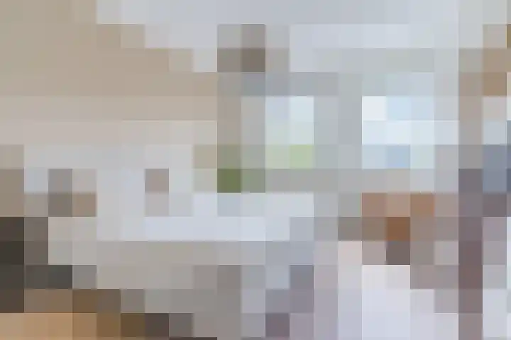 Karrenwiel 3 Eersel thumbnail 17
