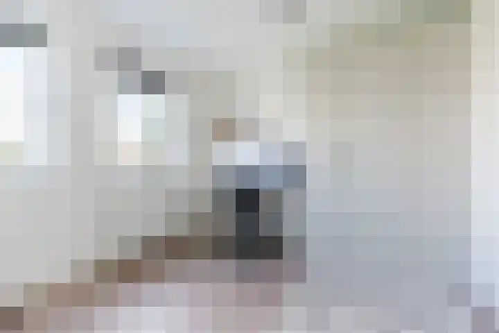Karrenwiel 3 Eersel thumbnail 19