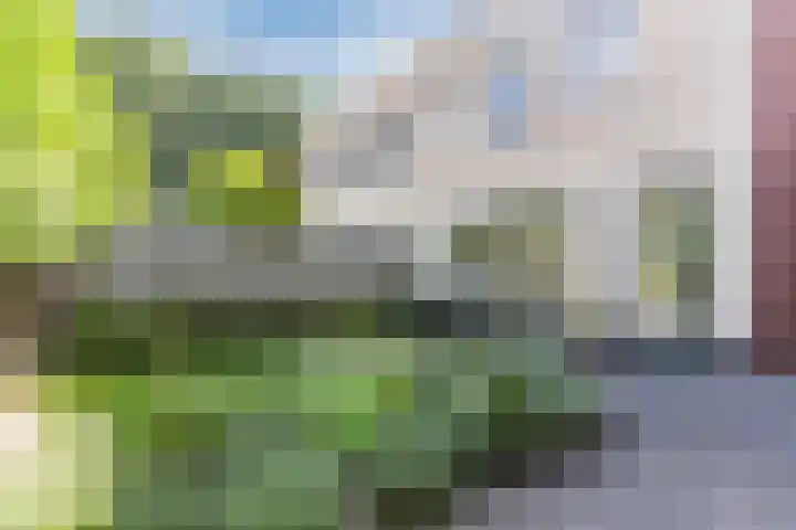 Karrenwiel 3 Eersel thumbnail 32