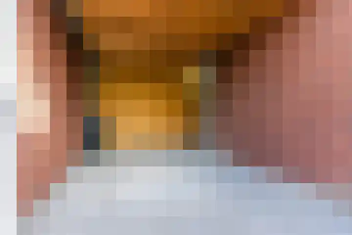 Karrenwiel 3 Eersel thumbnail 34