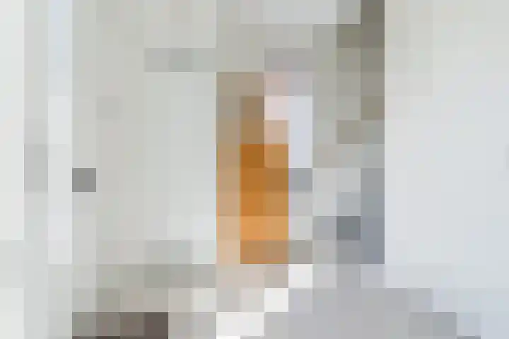Karrenwiel 3 Eersel thumbnail 4
