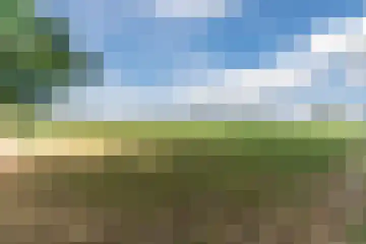Karrenwiel 3 Eersel thumbnail 40