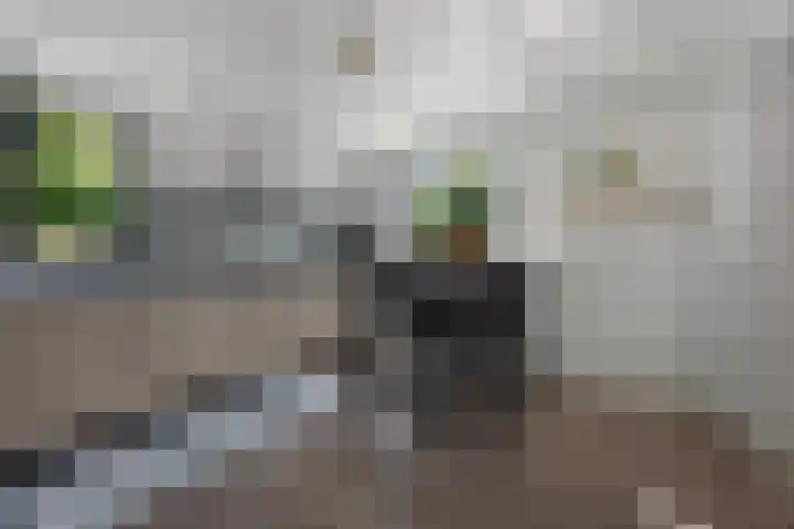 Karrestraat 6 Vlijmen thumbnail 12