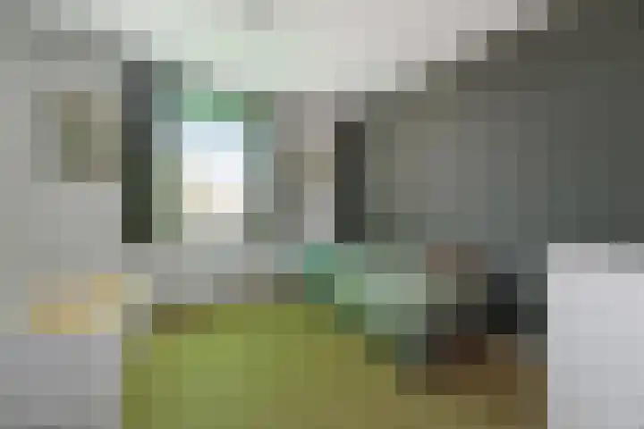 Karrestraat 6 Vlijmen thumbnail 22