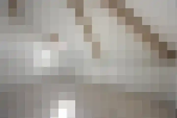 Karrestraat 6 Vlijmen thumbnail 30