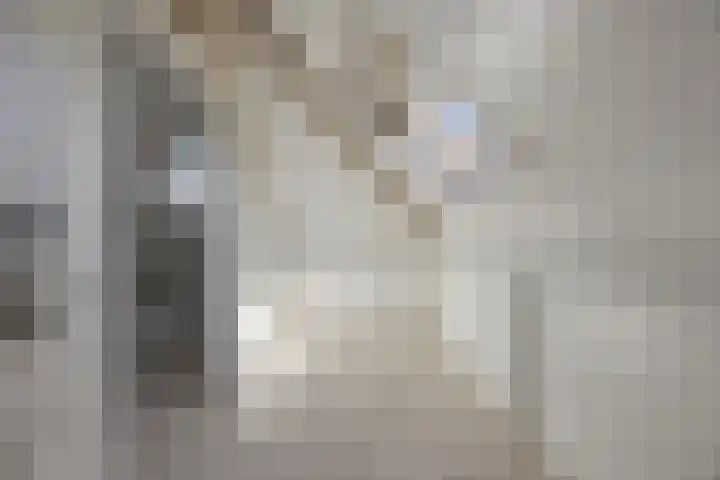 Karrestraat 6 Vlijmen thumbnail 32