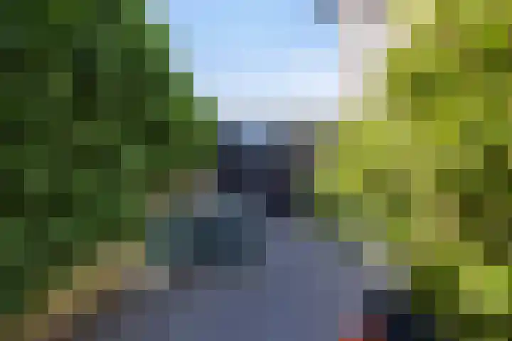 Karrestraat 6 Vlijmen thumbnail 42
