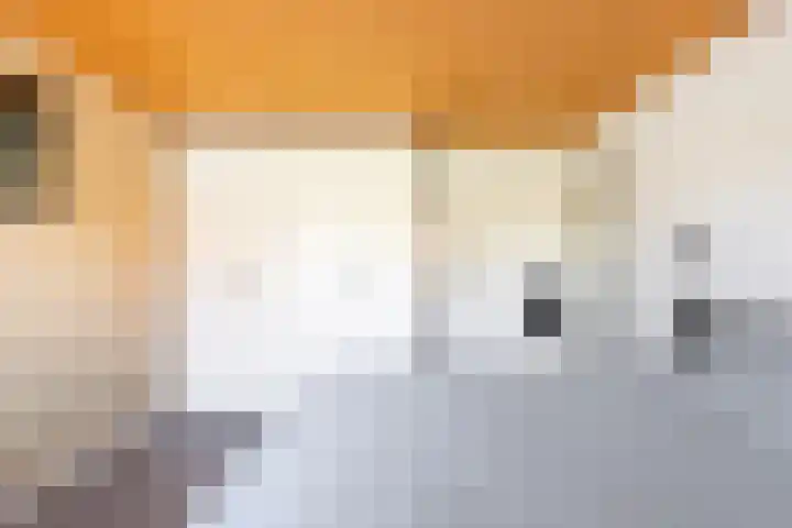 Karshoffstraat 10 Heemskerk thumbnail 13