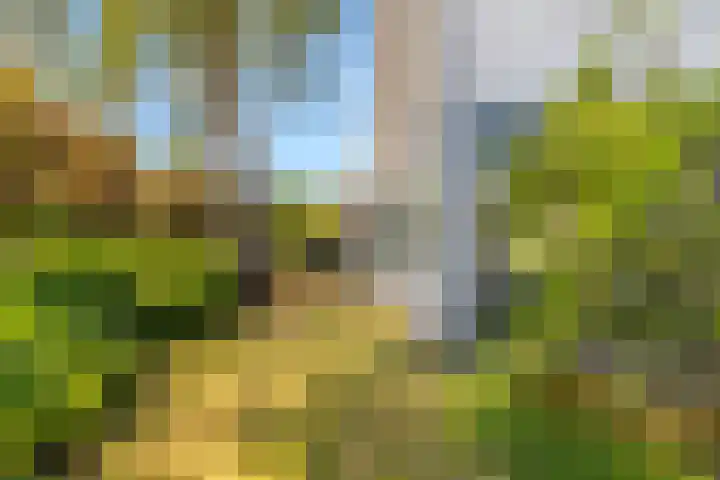 Karshoffstraat 10 Heemskerk thumbnail 27