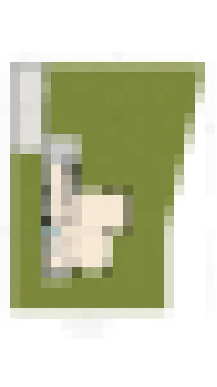 Karshoffstraat 10 Heemskerk thumbnail 35