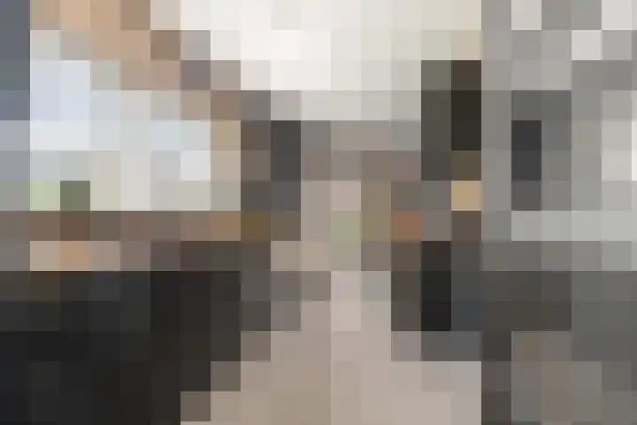 Karshoffstraat 10 Heemskerk thumbnail 8