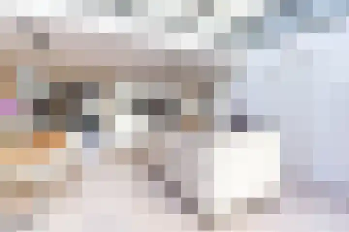 Karspel 10 Roden thumbnail 21