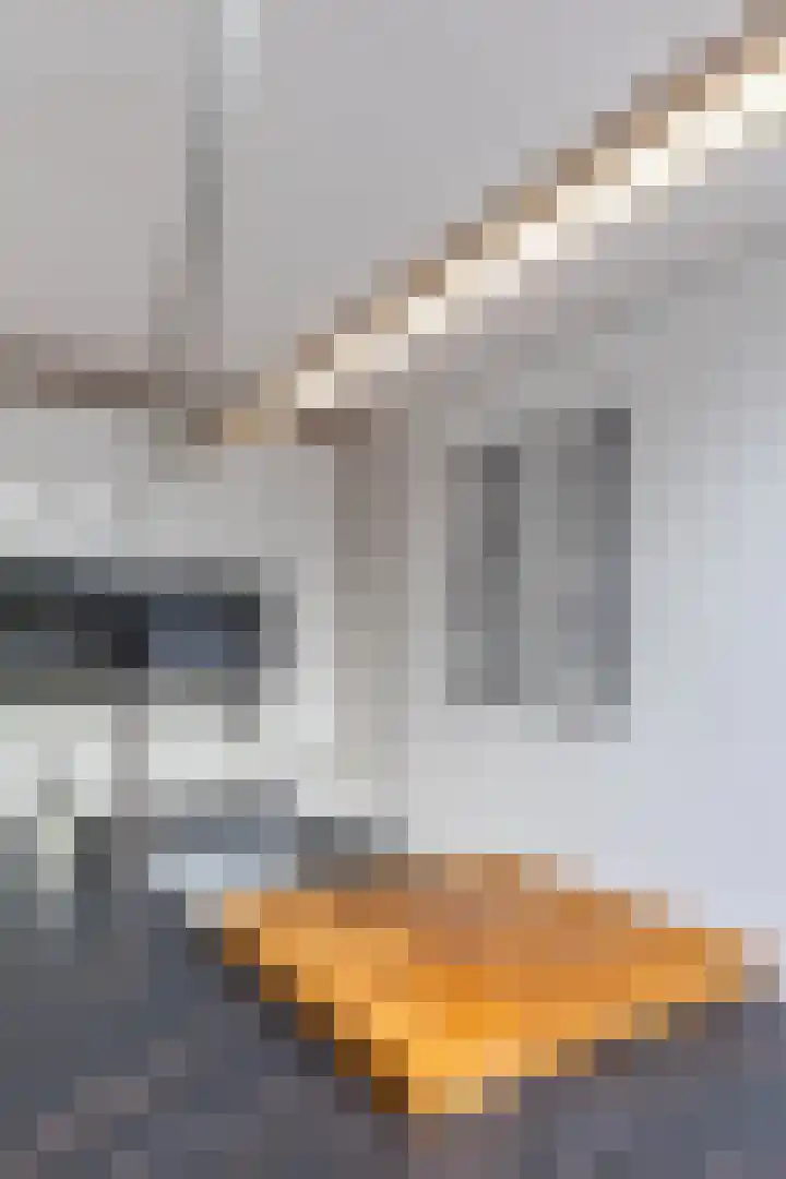 Karspel 10 Roden thumbnail 23