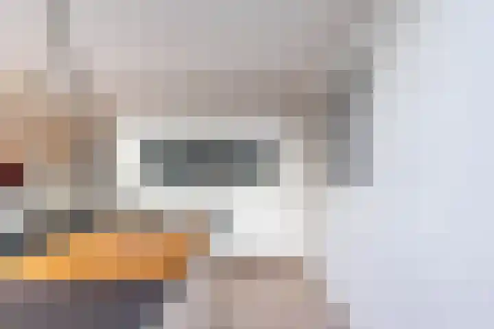Karspel 10 Roden thumbnail 24