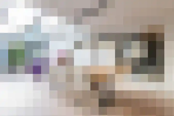 Karspel 10 Roden thumbnail 25