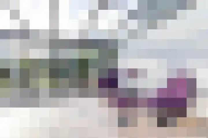 Karspel 10 Roden thumbnail 26