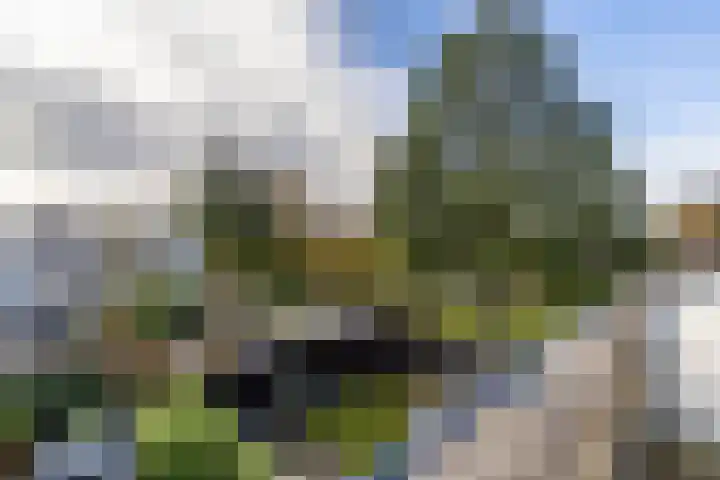 Karspel 10 Roden thumbnail 57