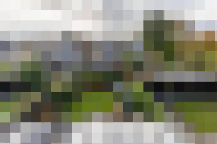 Karspel 10 Roden thumbnail 58