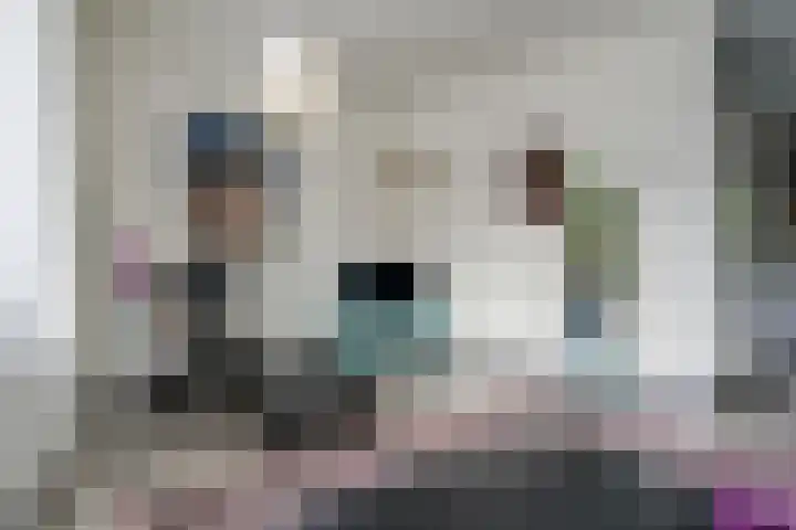 Karspel 7 Roden thumbnail 13