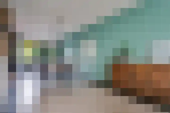 Karspel 7 Roden thumbnail 15