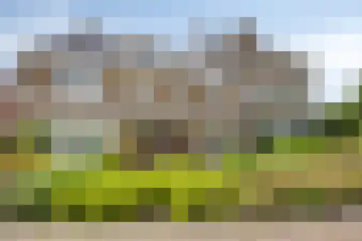 Karspel 7 Roden thumbnail 26