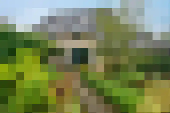 Karspel 7 Roden foto 3