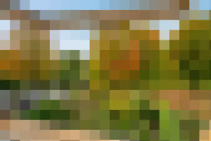 Karspel 7 Roden thumbnail 35