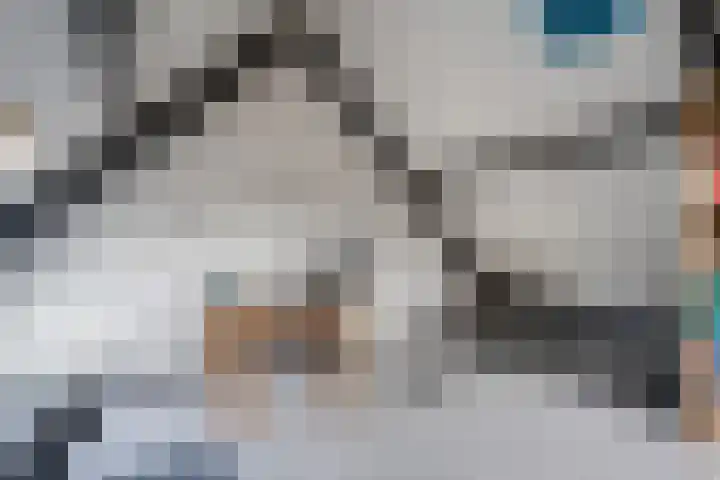 Karspel 7 Roden thumbnail 41