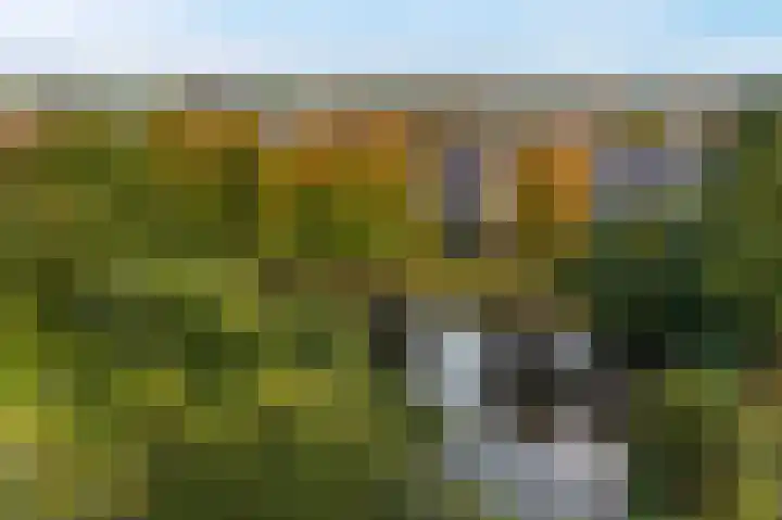 Karspel 7 Roden thumbnail 45