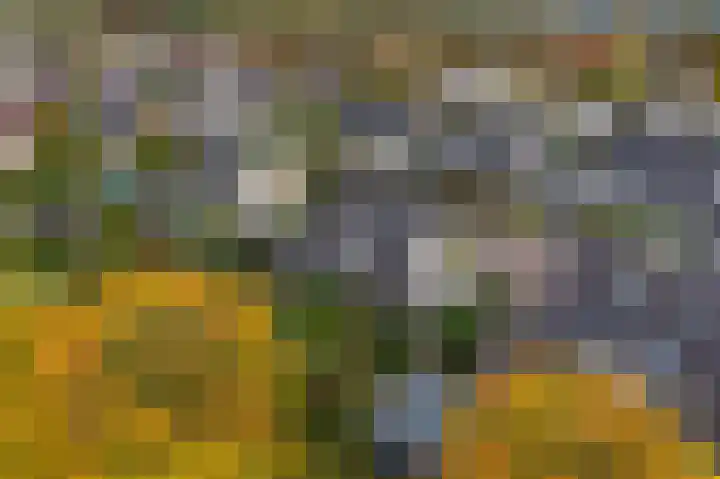 Karspel 7 Roden thumbnail 46