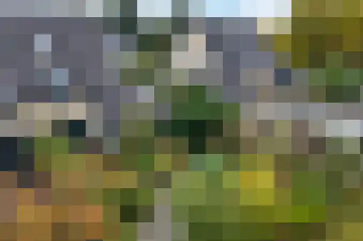 Karspel 7 Roden thumbnail 48
