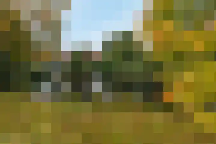 Karspel 7 Roden thumbnail 49