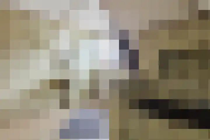 Karstraat 11 Mill thumbnail 22