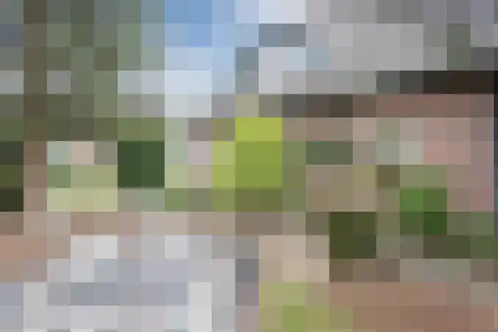 Karstraat 11 Mill thumbnail 27