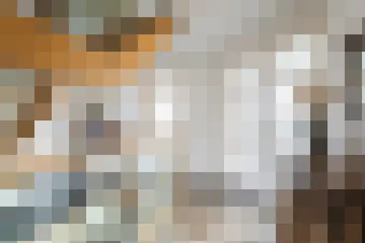 Karstraat 21 Mill thumbnail 19