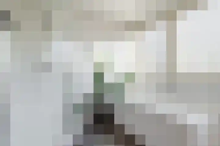 Karstraat 21 Mill thumbnail 29