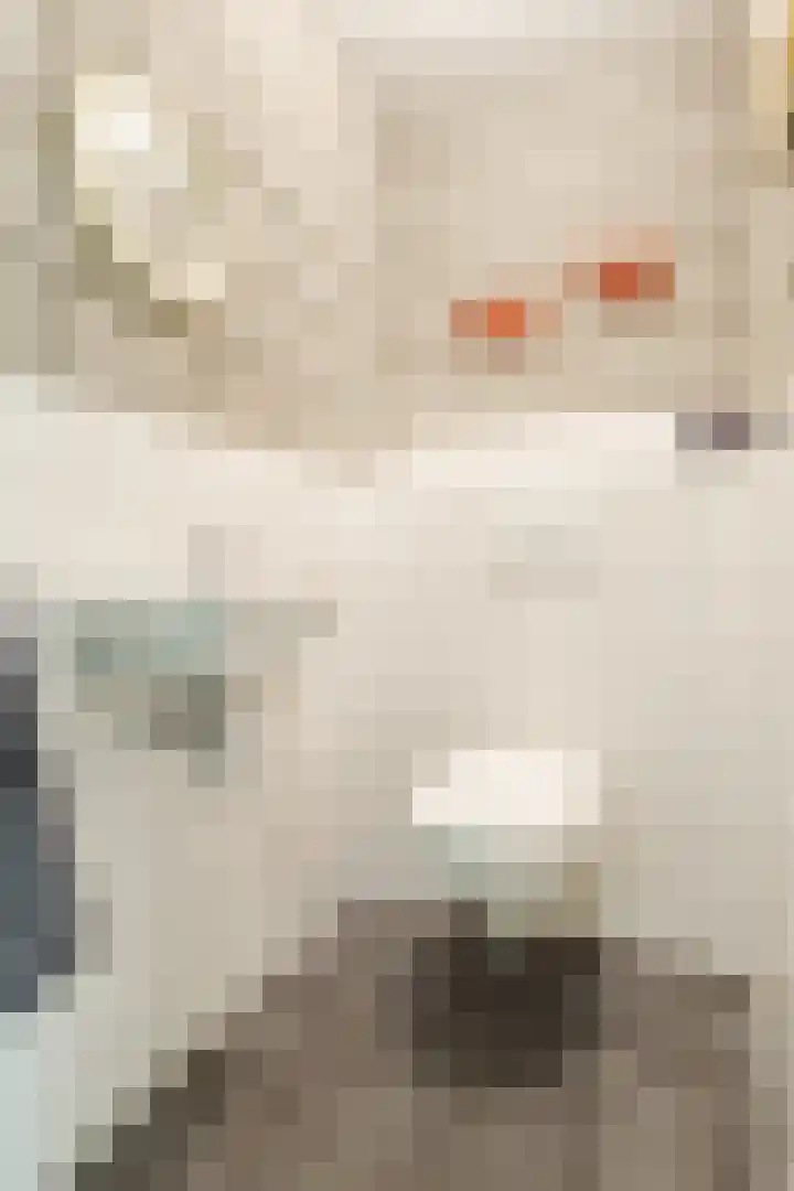 Karstraat 21 Mill thumbnail 37