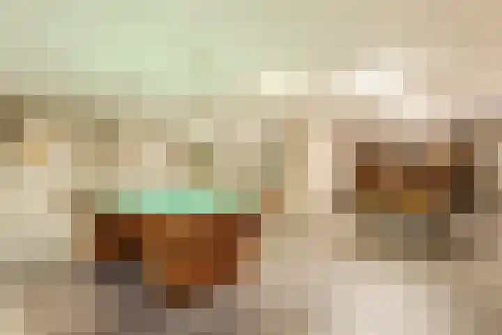 Karstraat 21 Mill thumbnail 38