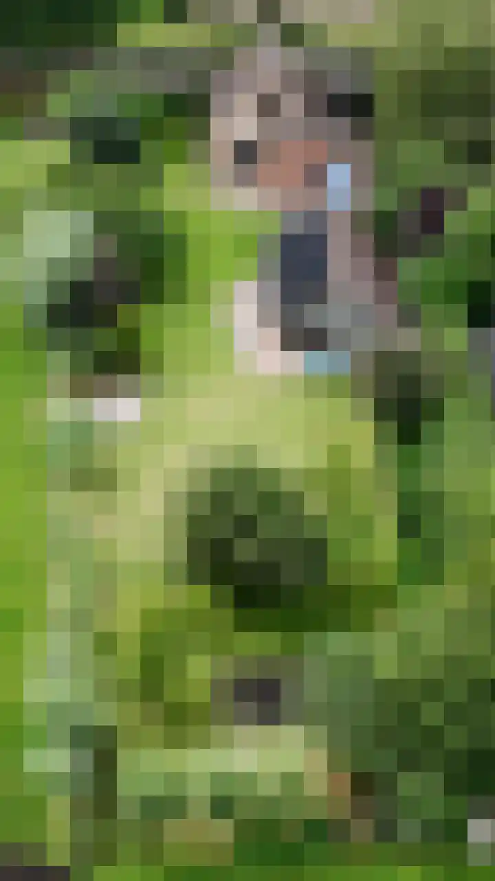 Karstraat 21 Mill thumbnail 46